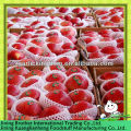 Manzana del huaniu de 100-125pcs